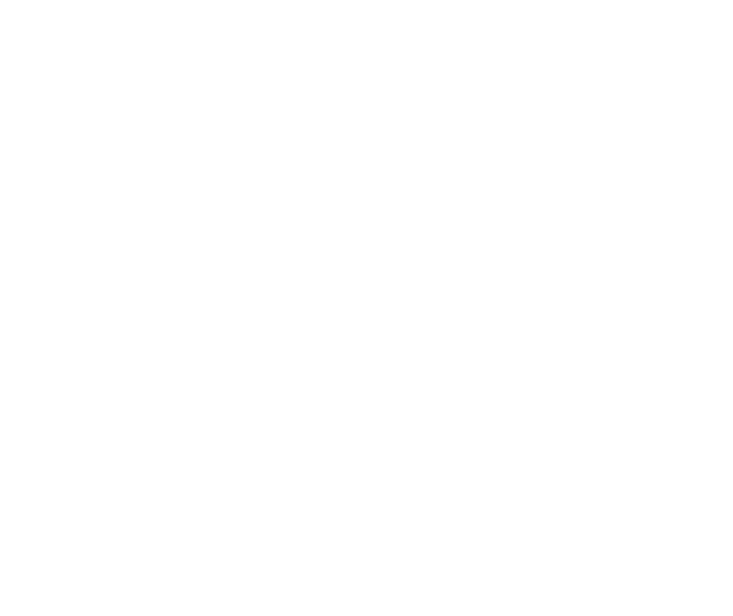 Drevia Infotech mark